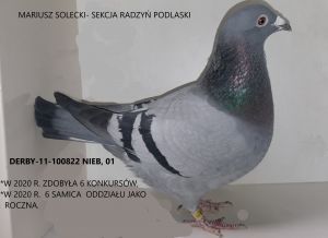Solecki Mariusz - sekcja Radzyń Podlaski