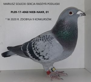 Solecki Mariusz - sekcja Radzyń Podlaski